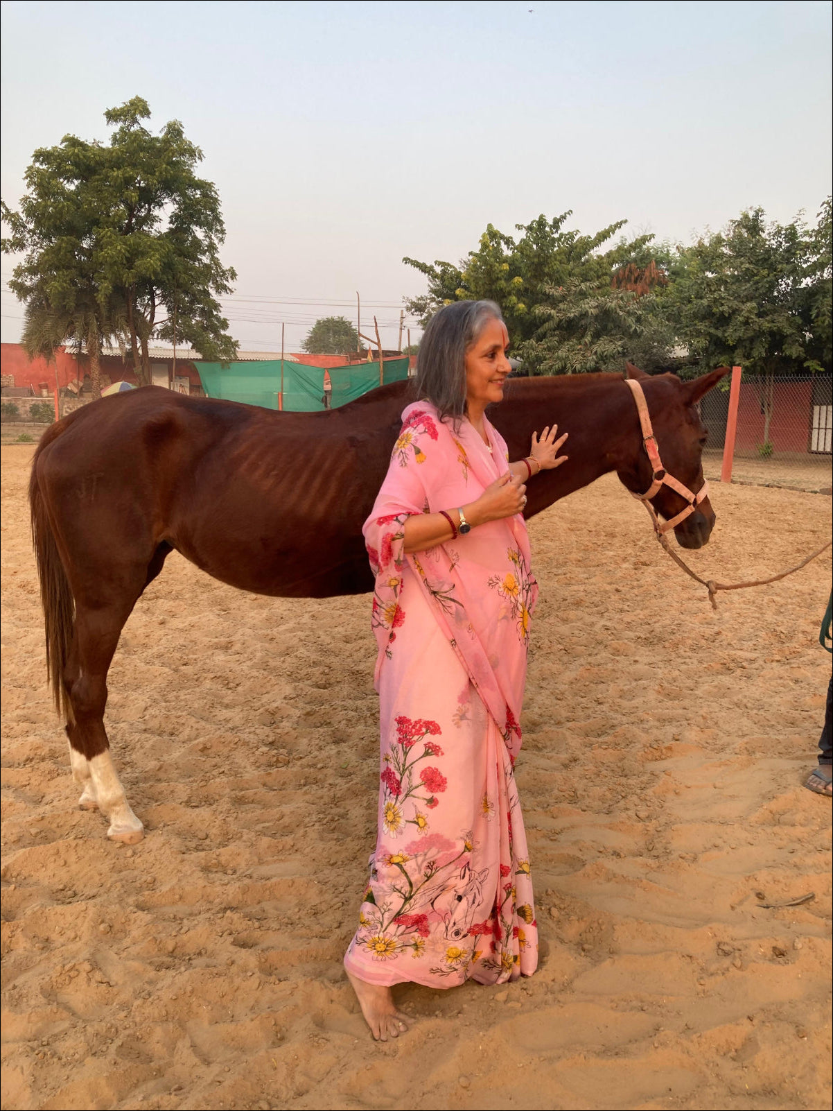 horse Flower saree