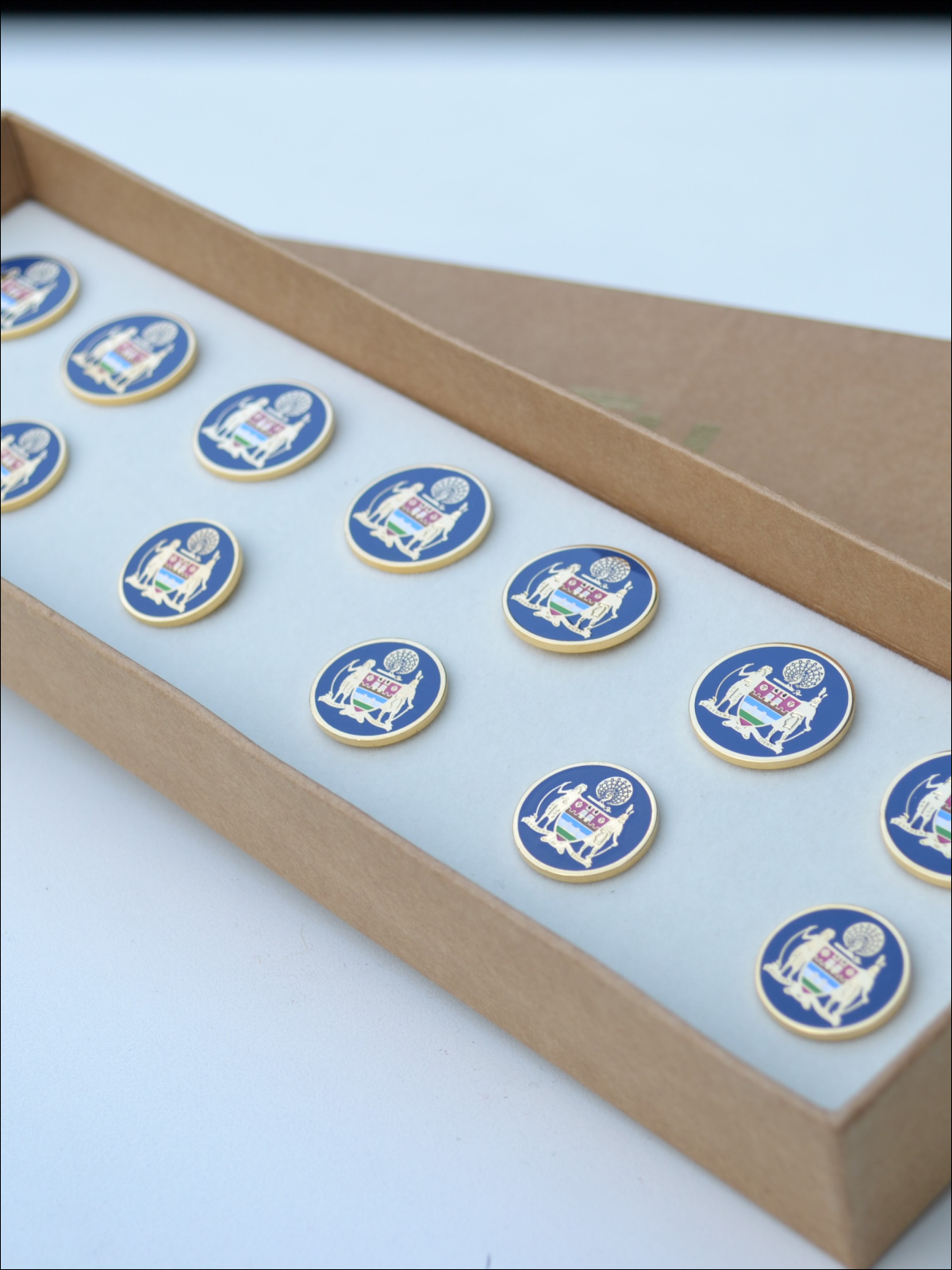 Mayo College Coat of Arms Buttons