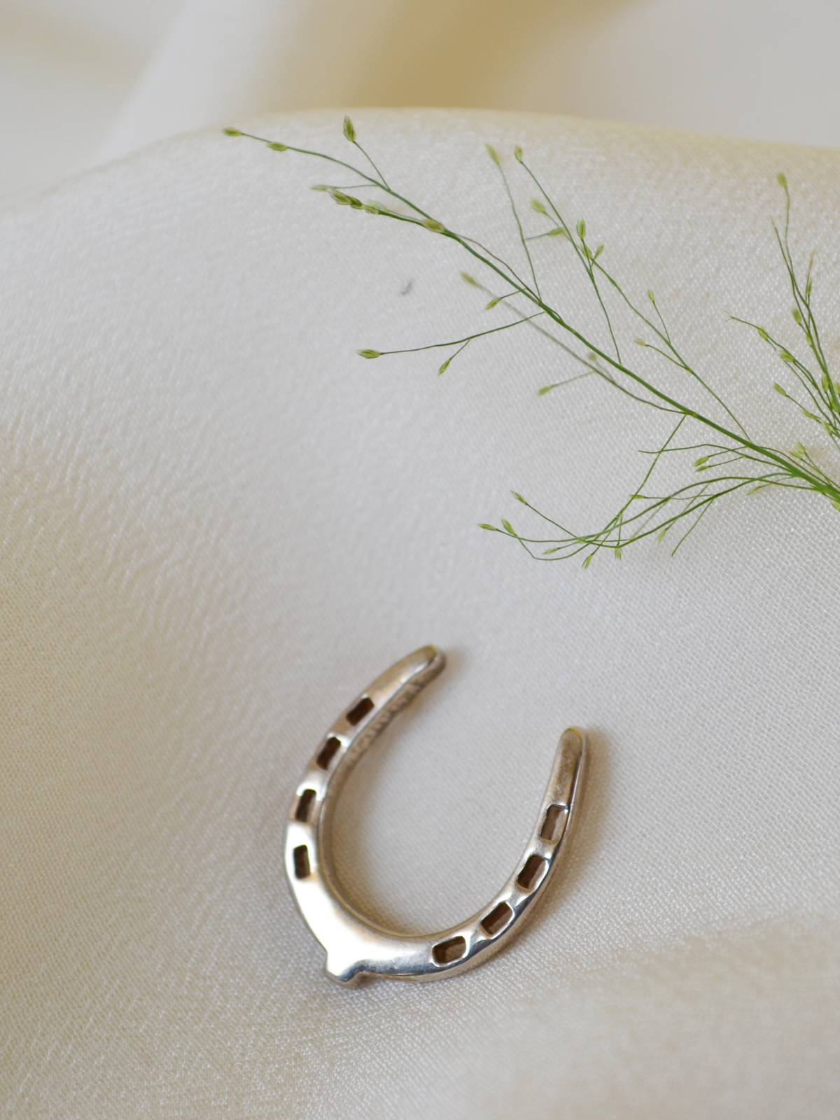 Lapel Pin Silver Horse Shoe