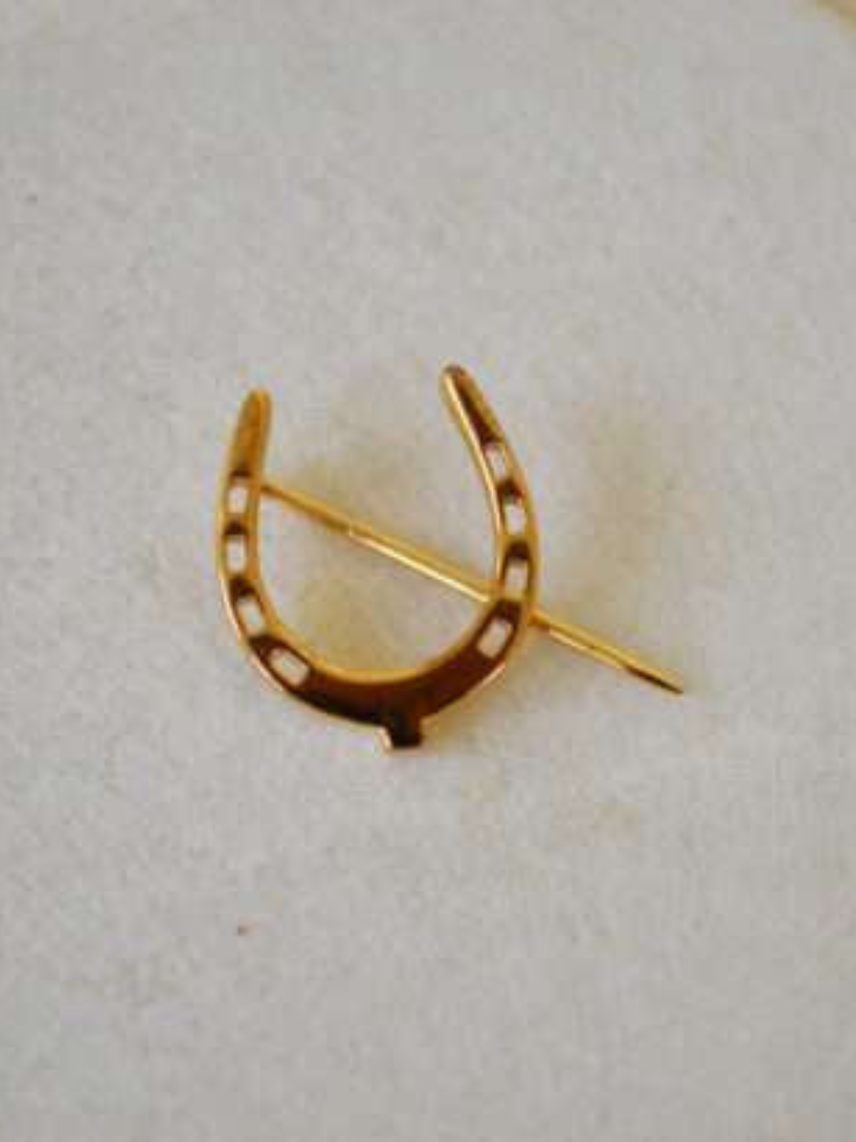 Golden Lapel Pin Jaipur