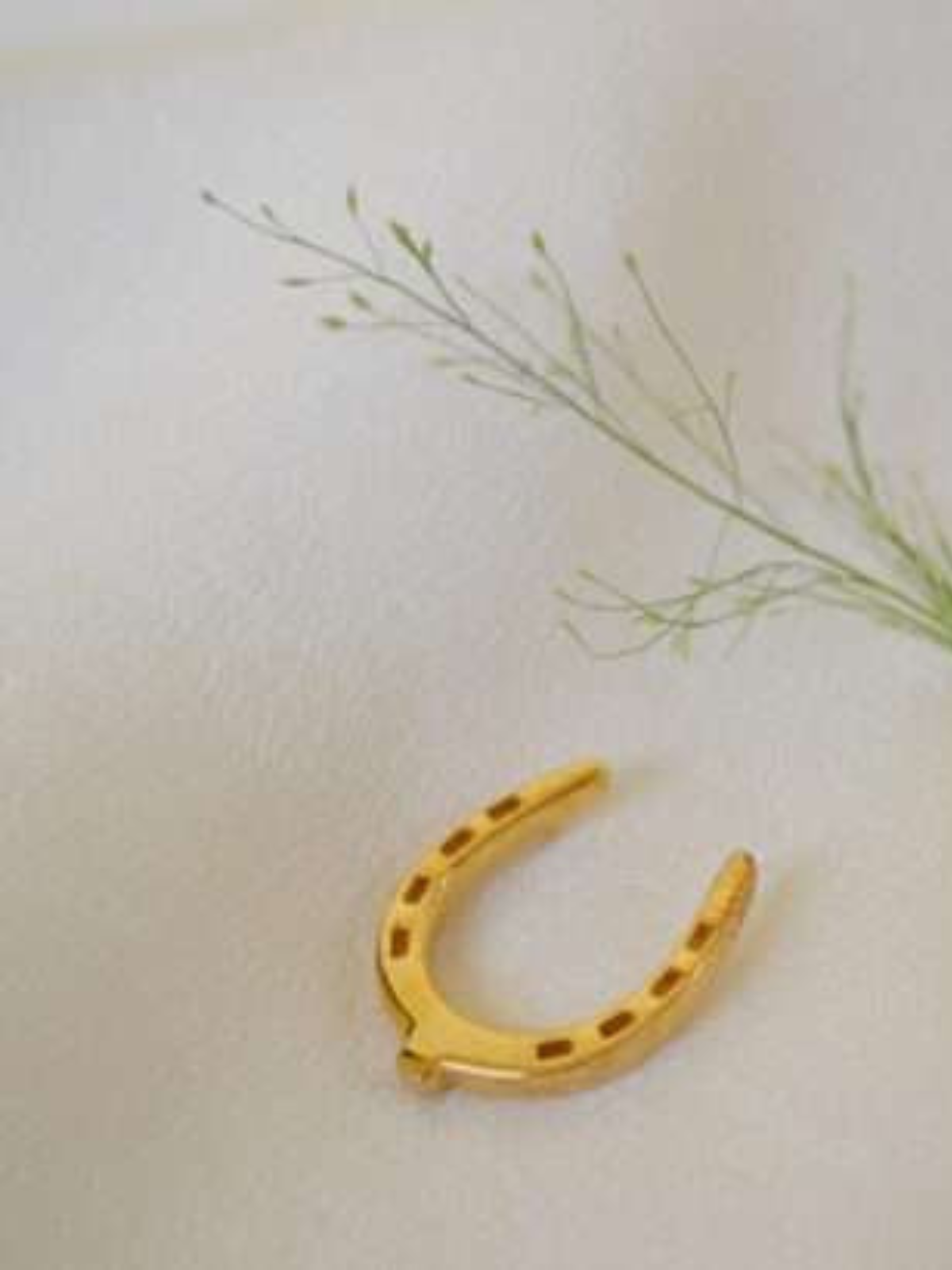 Golden Plated Horse Shoe Lapel Pin