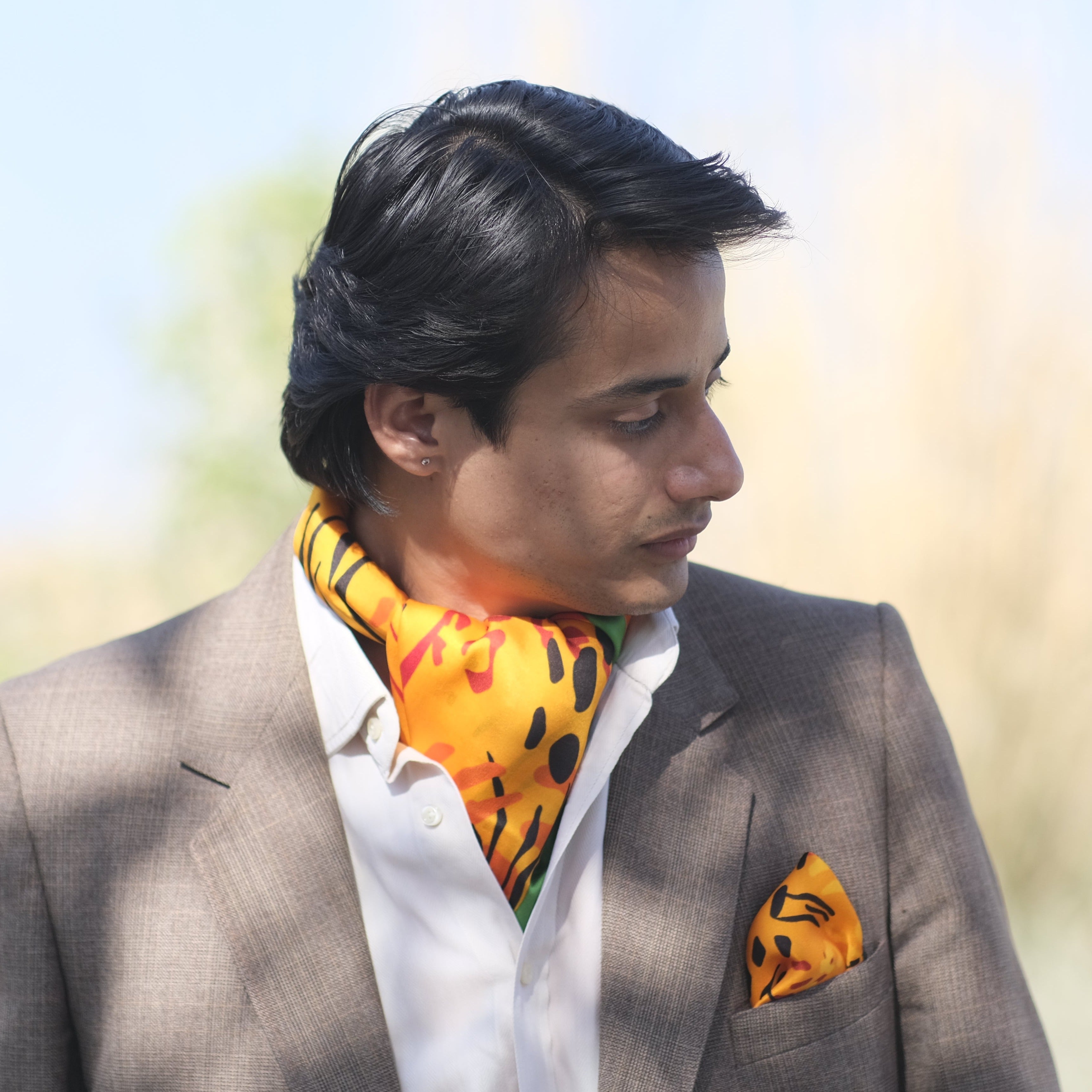 PS Men Khaki Chidiya Print Pocket Square main image 1